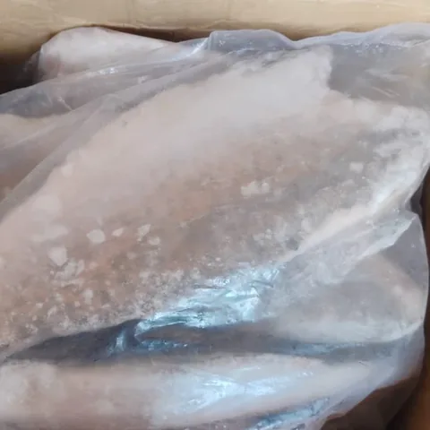 Bhetki (Indian Sea Bass) Fillet — product photo from Divya Luxury Foods