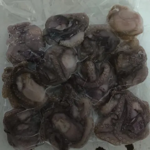 Octopus Whole — product photo from Divya Luxury Foods